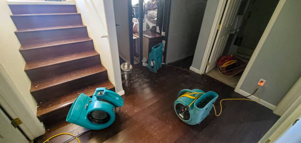 Best Fire Damage Restoration  in Dublin, TX